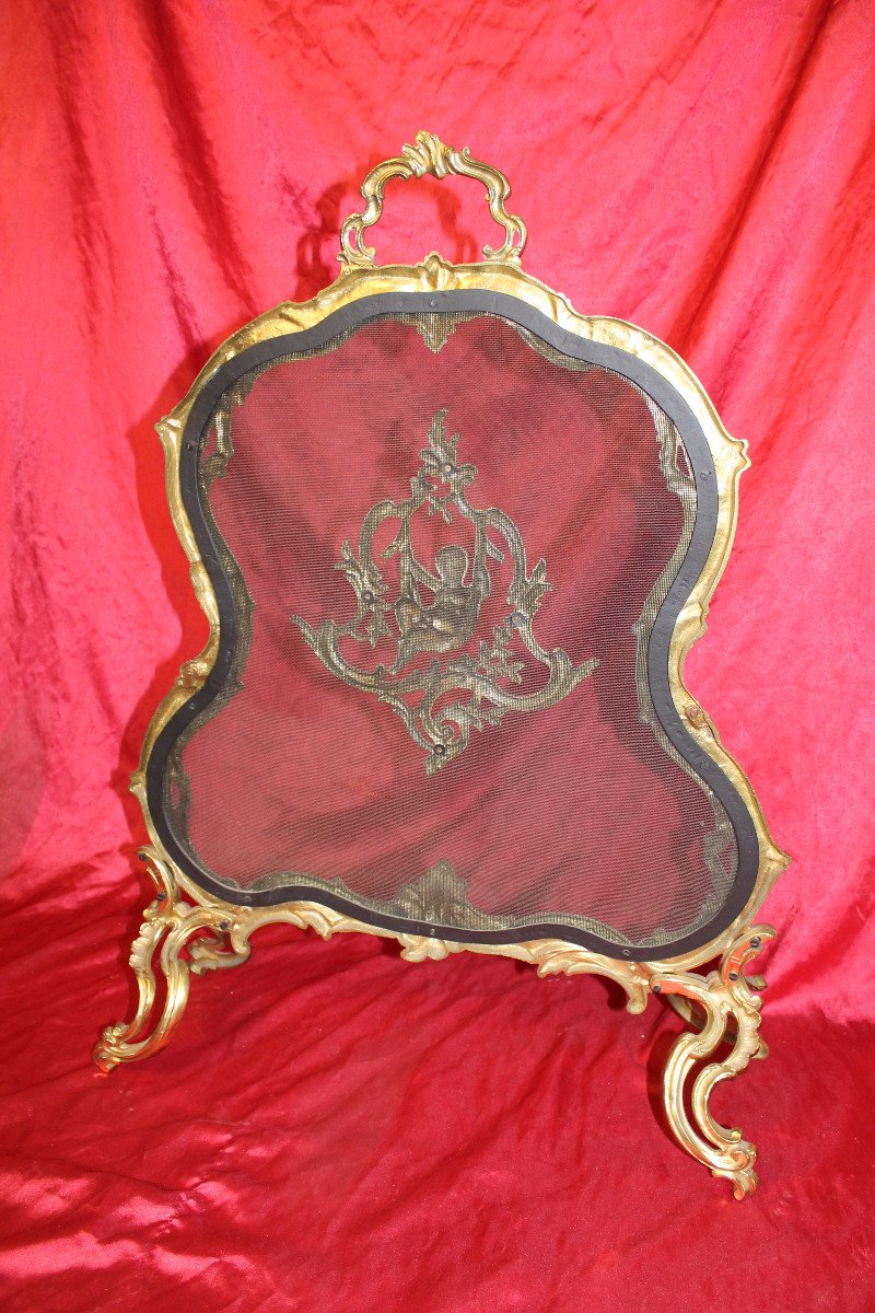 Louis XV Style Bronze Fire Screen -photo-6