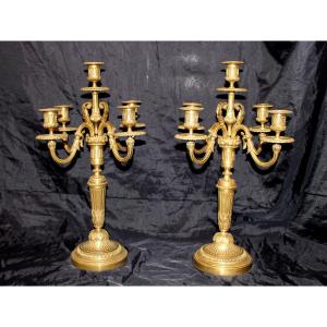 Pair Of Bronze Candelabra Candlesticks With 5 Light Arms In The Louis XVI Style, 19th Century