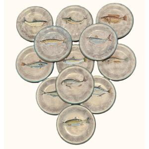 Set Of Twelve Fish-decorated Plates