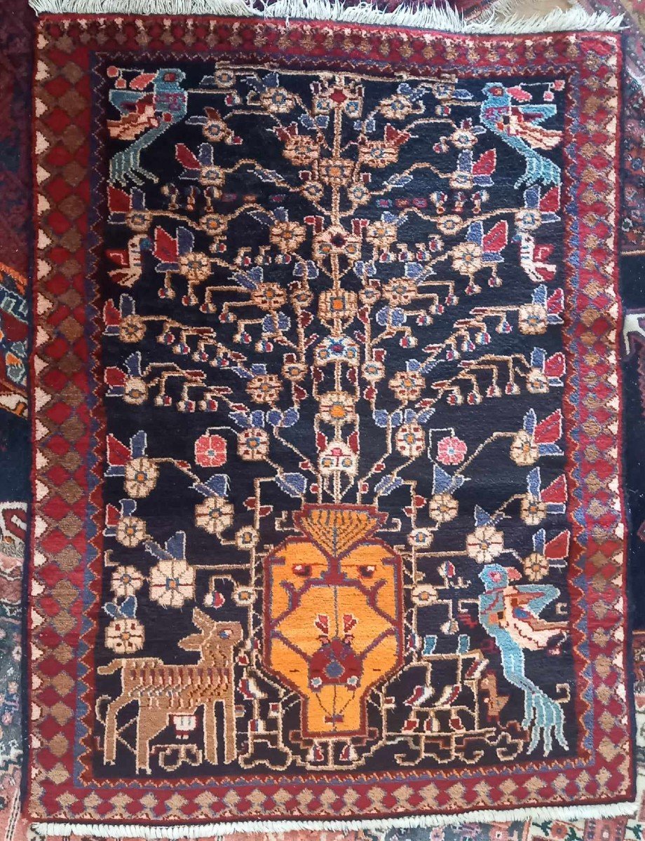 Tapis Nord Iran Noué Main