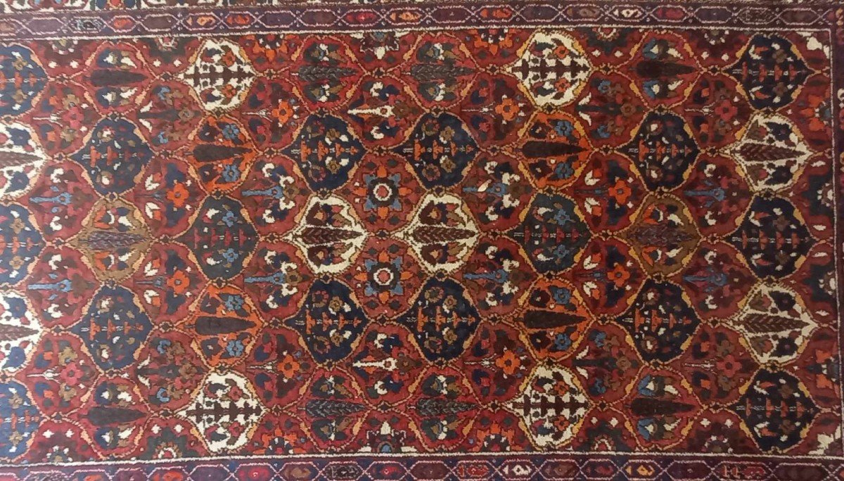 Tapis Noué Main Type Bakhtiar, Iran Milieu Du XXe-photo-1