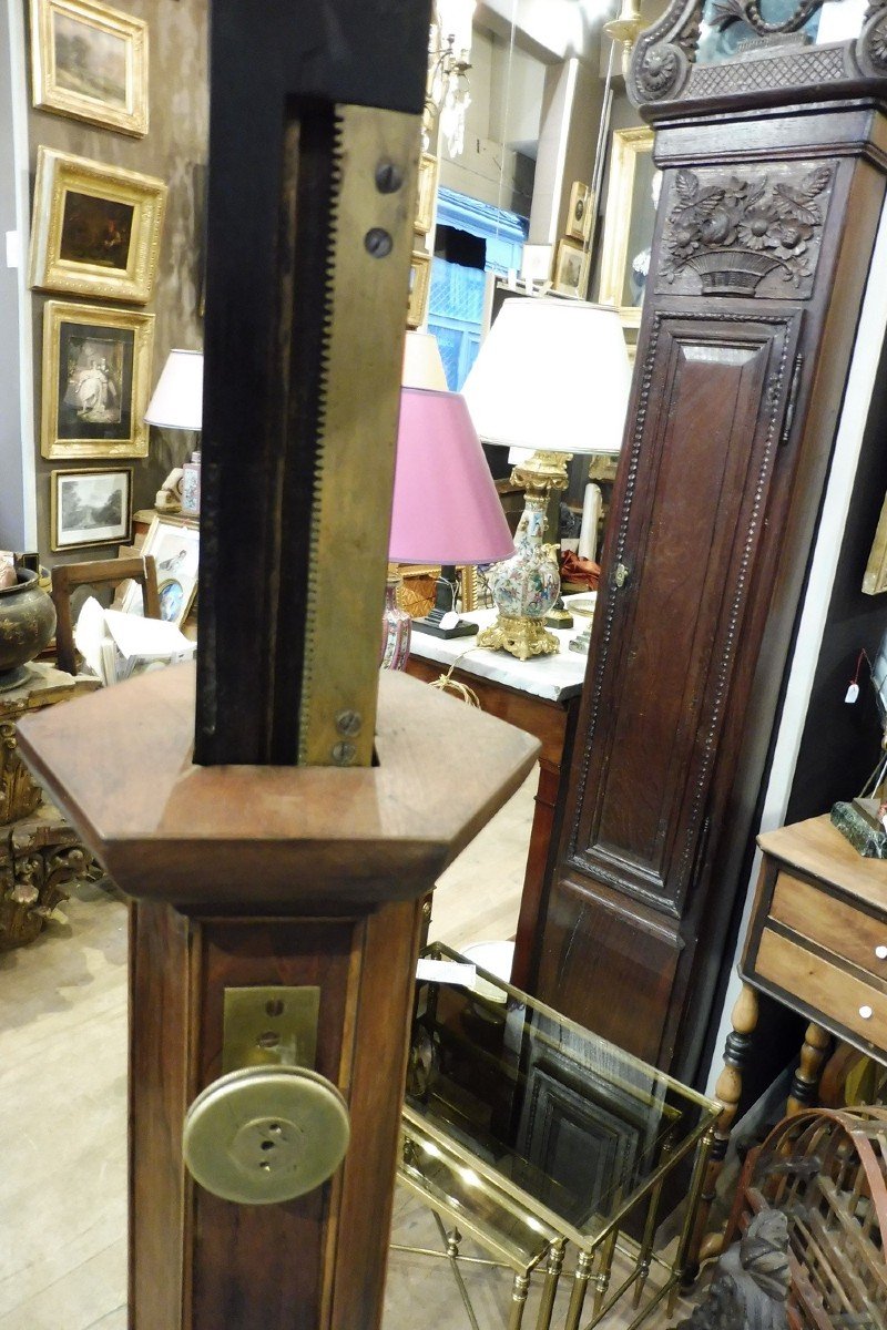 Pedestal  In Mahogany , Walnut 19 Century  -photo-2