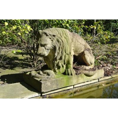 Lion Stone