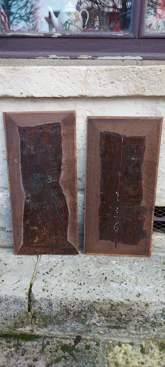 Large And Beautiful Pair Of Gothic Towel Fold Panels XVth Century.-photo-3