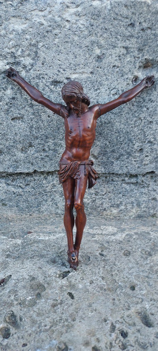 Superbe Christ mort en Croix Buis Flandres Fin XVIeme 1580-photo-2