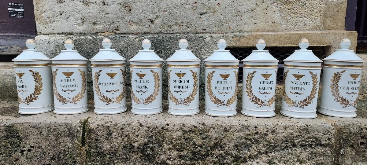 Very Beautiful Set Of 9 Porcelain Pharmacy Pots Paris 19th Century.