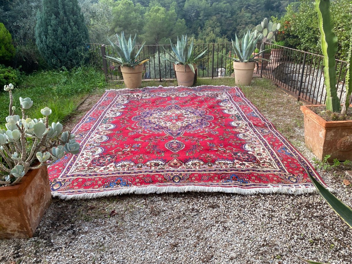 Tapis Persan , XX ème -photo-4