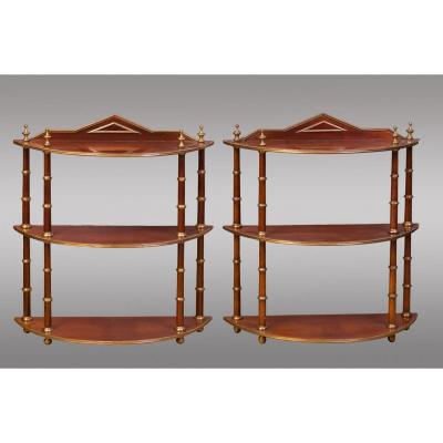 Pair Of Baltic Shelves. Middle Of The 19th Century