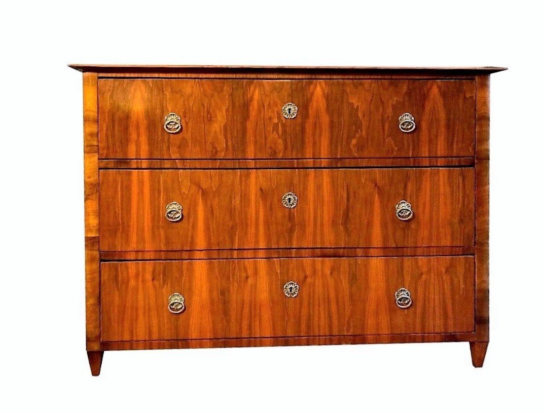 19th Century Biedermeier Chest Of Drawers Austria-photo-2