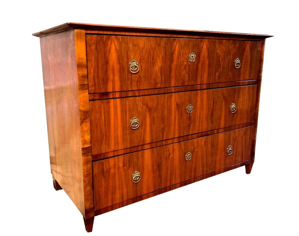 19th Century Biedermeier Chest Of Drawers Austria