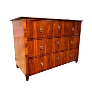 19th Century Biedermeier Chest Of Drawers Austria