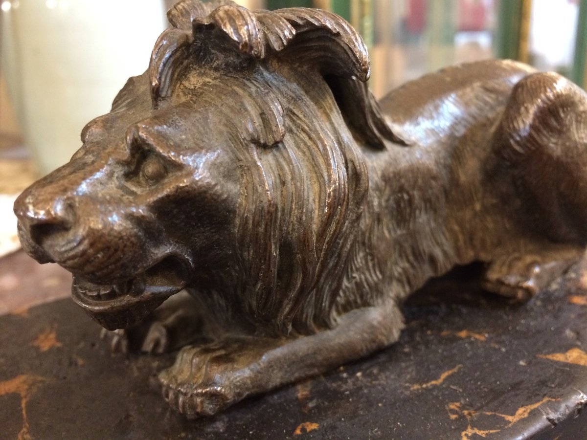 Lion, Bronze Clipboard -photo-2