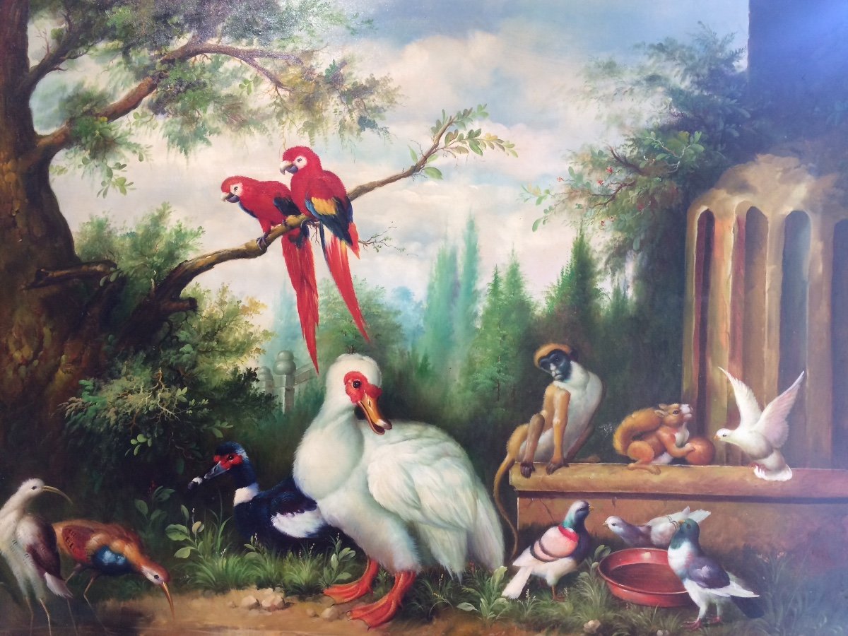   Singe Et Volatiles. Grand Tableau, école 19 ème 