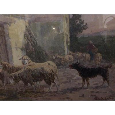 The Sheepfold, Watercolor From Marie - Didier CalvÈs