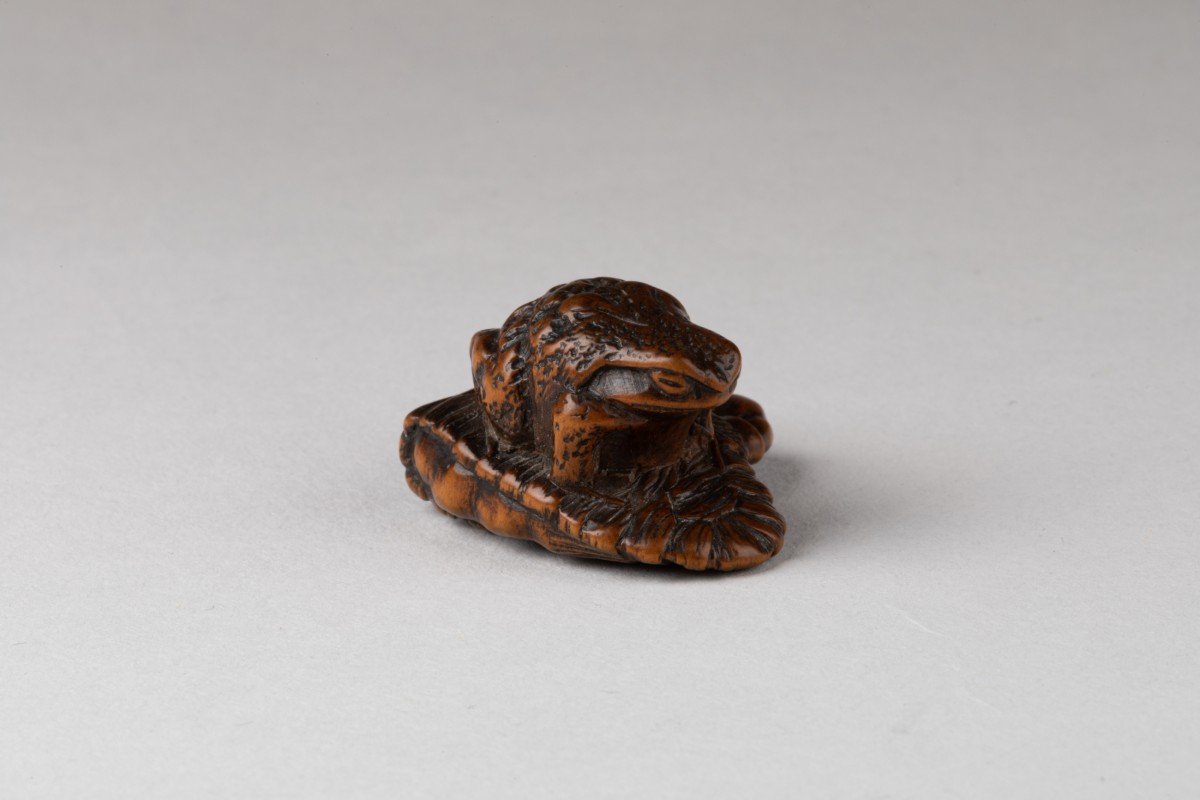 Netsuke – Small Carved Wooden Model Of A Toad, Sitting On An Abandoned Waraji. Japan Edo-photo-1