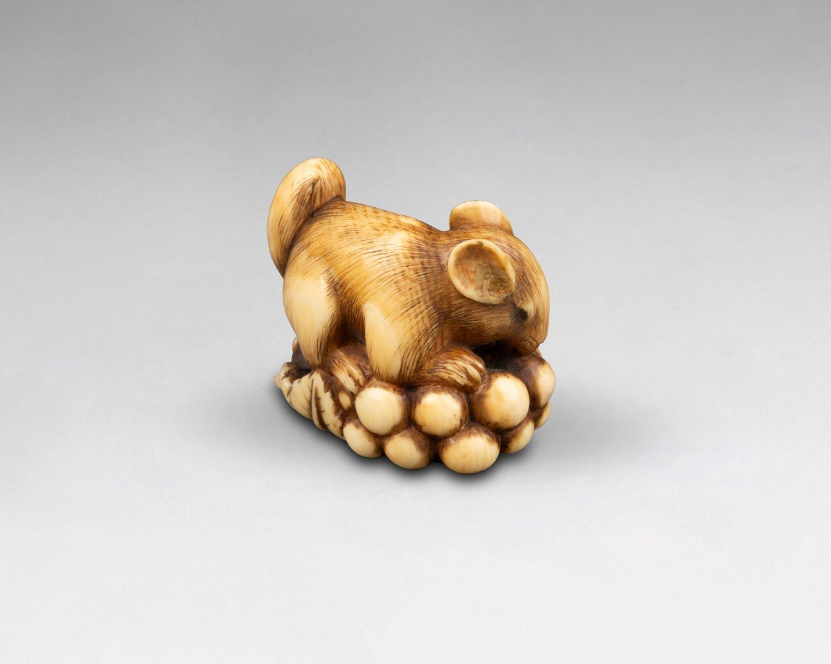 Netsuke En Ivoire Par Ranichi, Représentant Un Loir. Japon Edo-photo-3