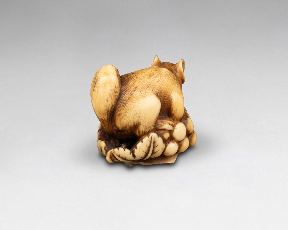 Netsuke En Ivoire Par Ranichi, Représentant Un Loir. Japon Edo-photo-1