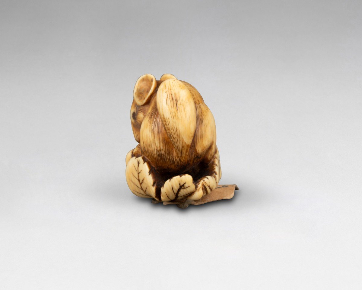 Netsuke En Ivoire Par Ranichi, Représentant Un Loir. Japon Edo-photo-2