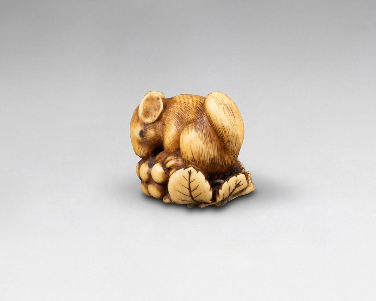 Netsuke En Ivoire Par Ranichi, Représentant Un Loir. Japon Edo-photo-3