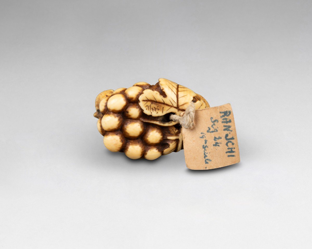 Netsuke En Ivoire Par Ranichi, Représentant Un Loir. Japon Edo-photo-4