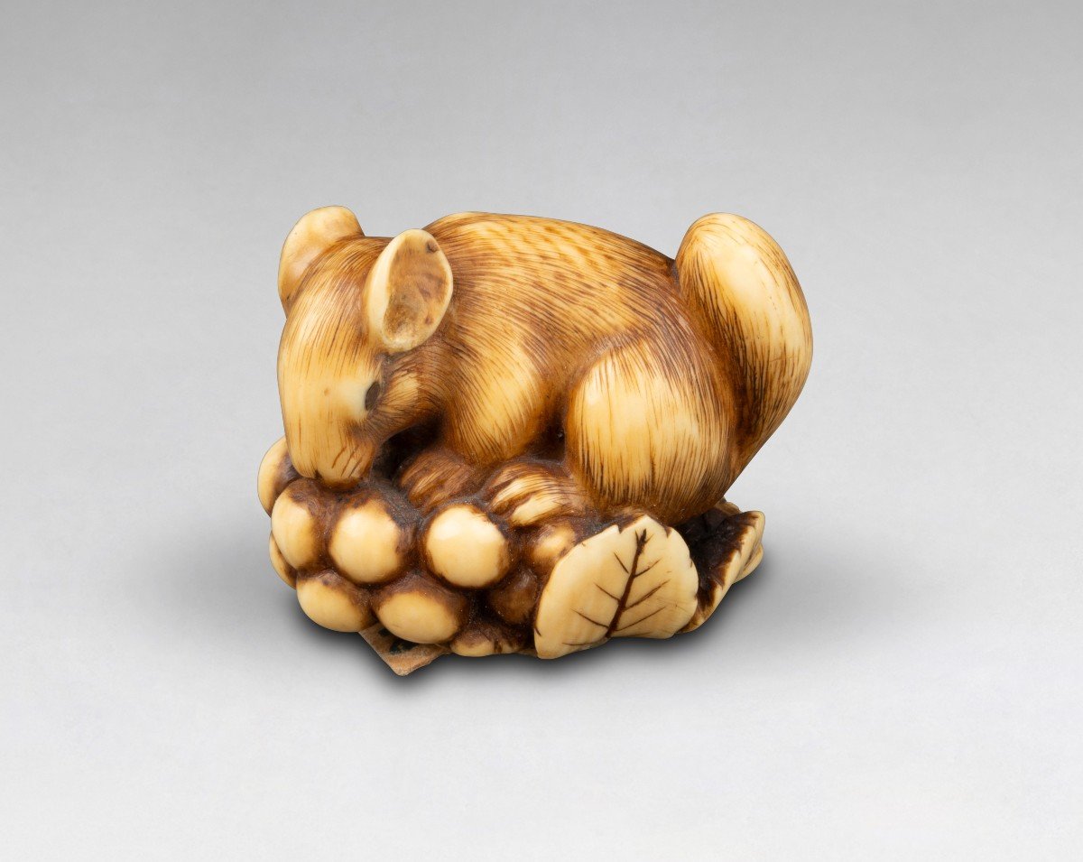 Netsuke En Ivoire Par Ranichi, Représentant Un Loir. Japon Edo-photo-5