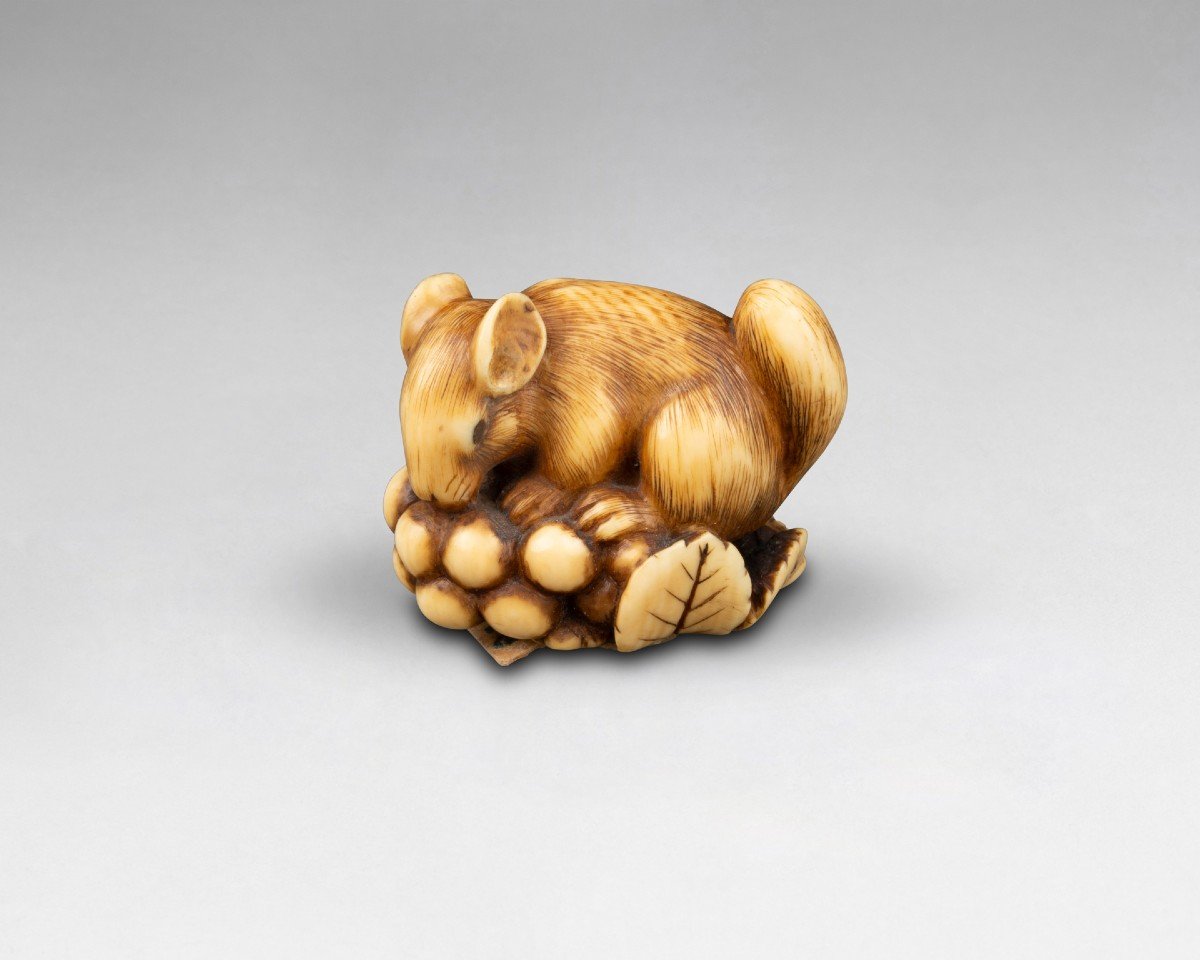 Netsuke En Ivoire Par Ranichi, Représentant Un Loir. Japon Edo