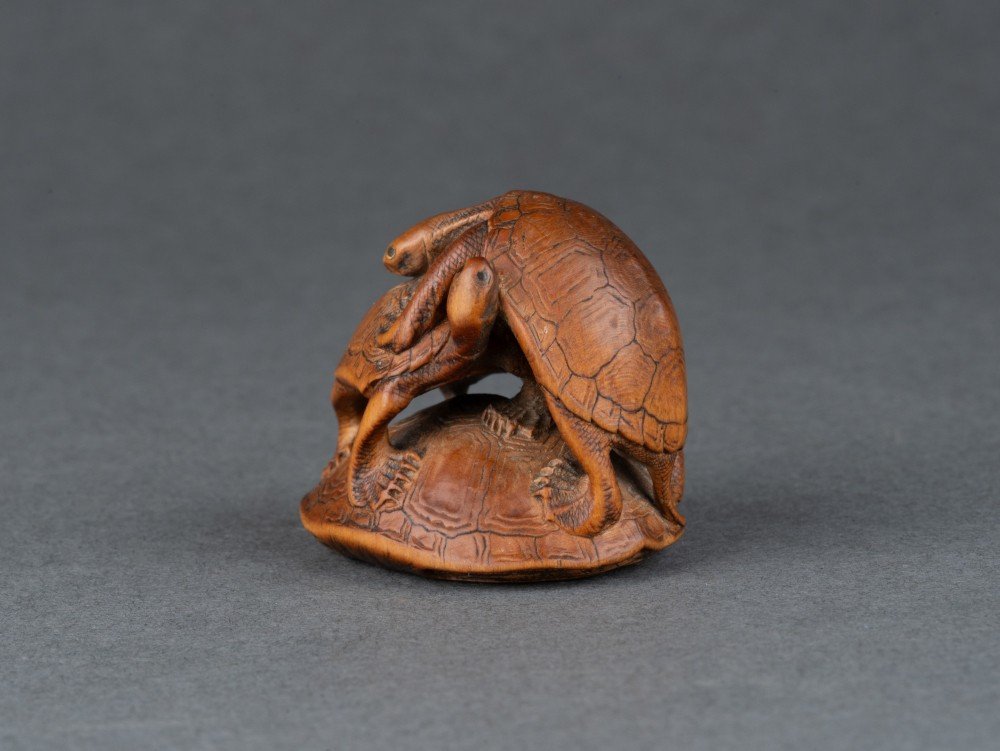 Netsuke – Tortues Par Komin. Un Groupe De 3 Tortues En Bois Sculpté, Japon Edo-photo-2