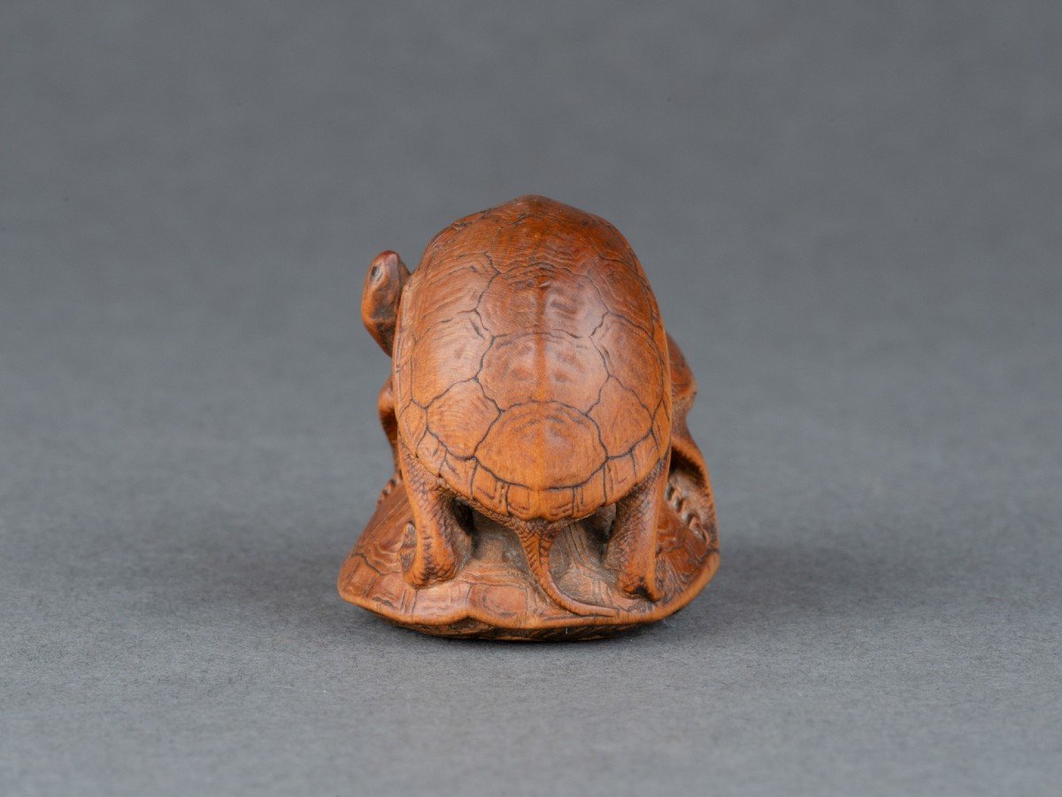 Netsuke – Tortues Par Komin. Un Groupe De 3 Tortues En Bois Sculpté, Japon Edo-photo-3