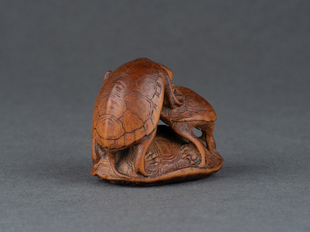 Netsuke – Tortues Par Komin. Un Groupe De 3 Tortues En Bois Sculpté, Japon Edo-photo-4