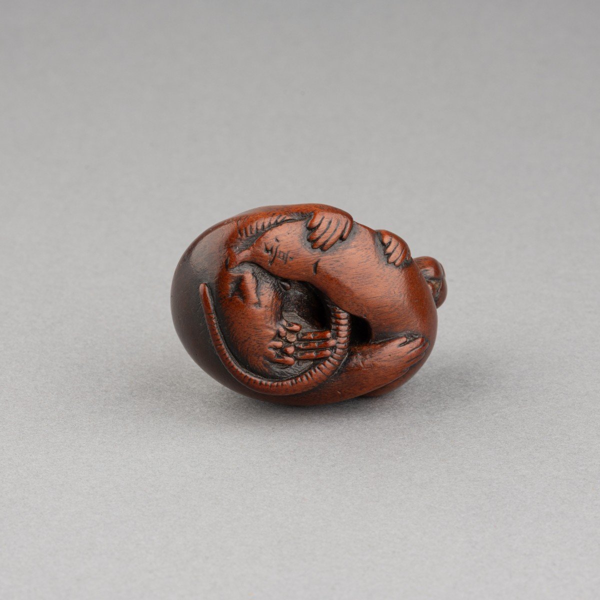 Netsuke – Adorable Rat Sculpté En Bois, Par Itteï, Gifu. Japon Edo-photo-3