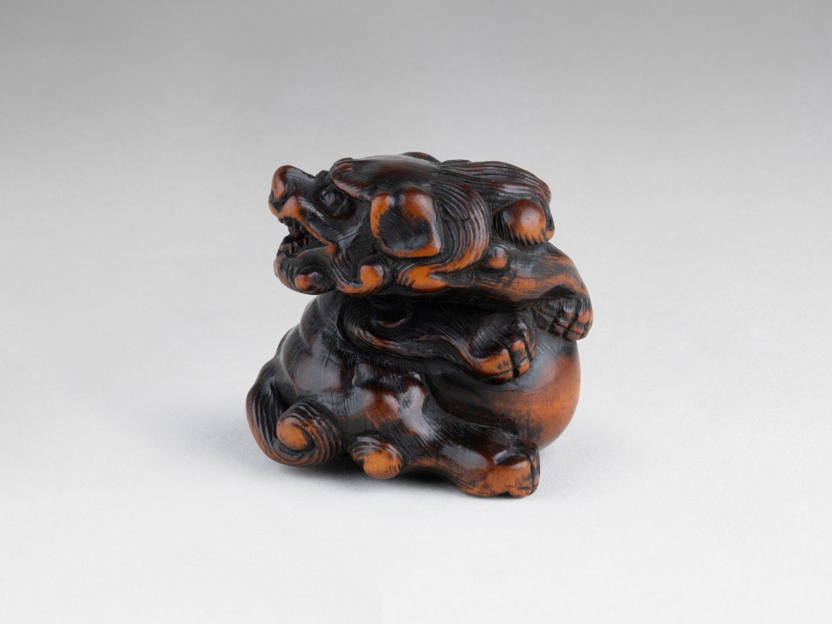 Netsuke – Important Model Of A Shishi In Carved Wood Japan Edo-photo-2