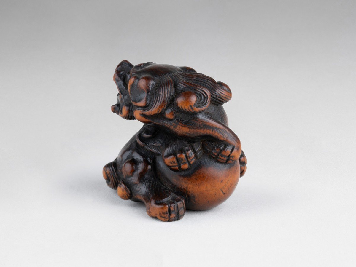 Netsuke – Important Model Of A Shishi In Carved Wood Japan Edo-photo-3