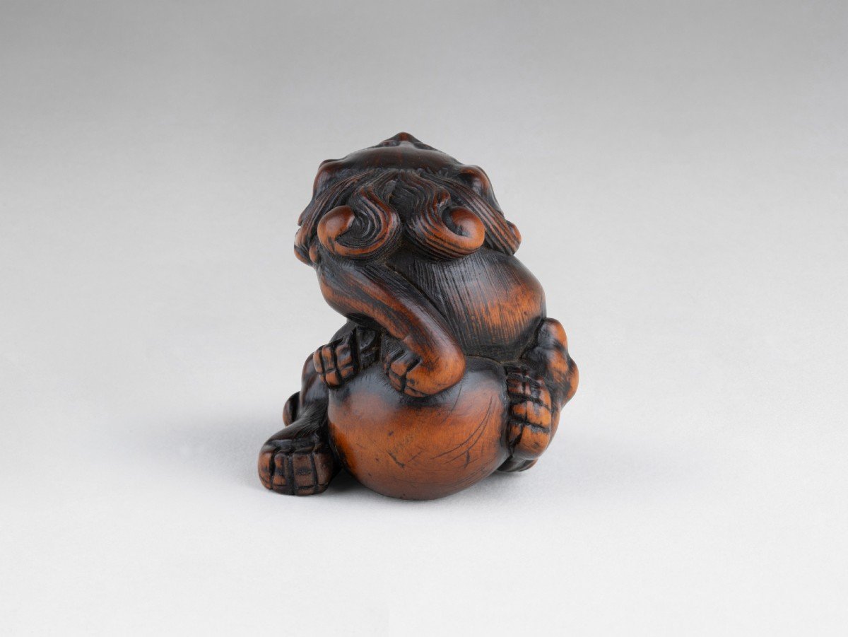 Netsuke – Important Model Of A Shishi In Carved Wood Japan Edo-photo-4