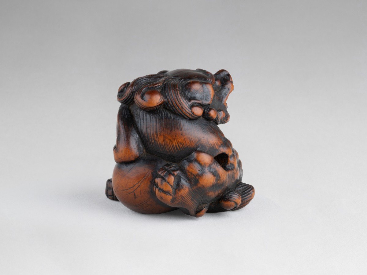 Netsuke – Important Model Of A Shishi In Carved Wood Japan Edo-photo-1