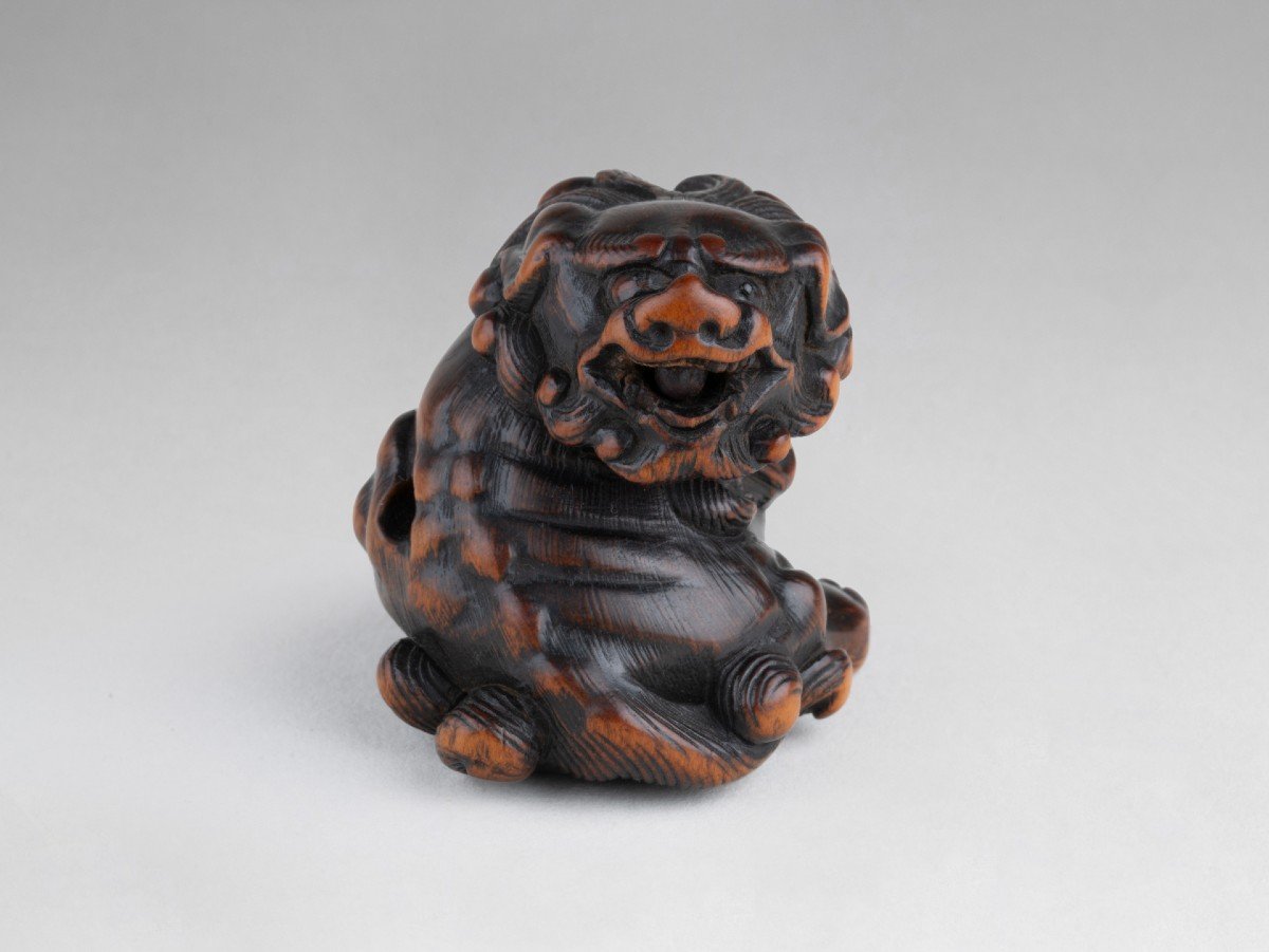 Netsuke – Important Model Of A Shishi In Carved Wood Japan Edo-photo-3