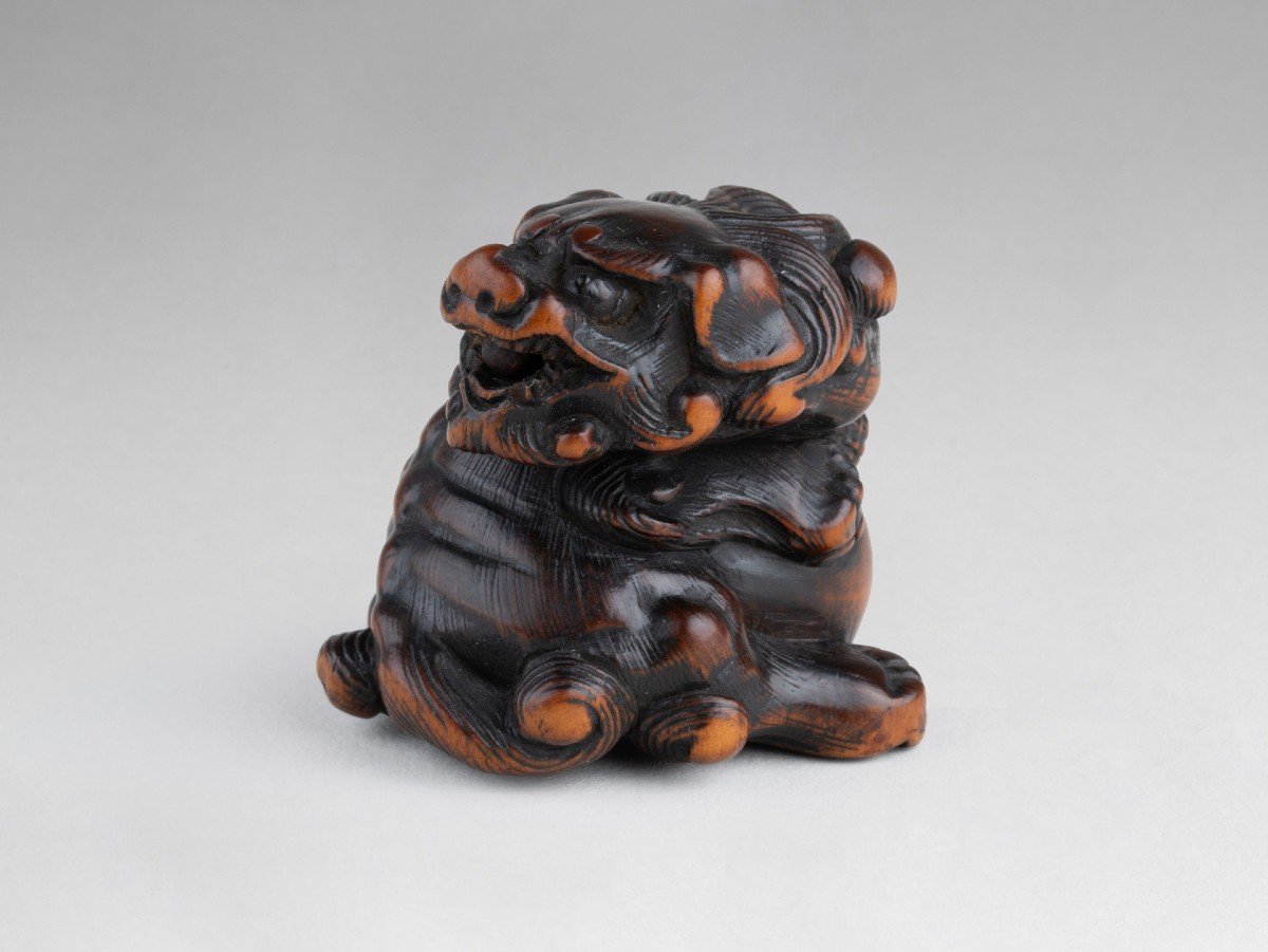 Netsuke – Important Model Of A Shishi In Carved Wood Japan Edo-photo-4