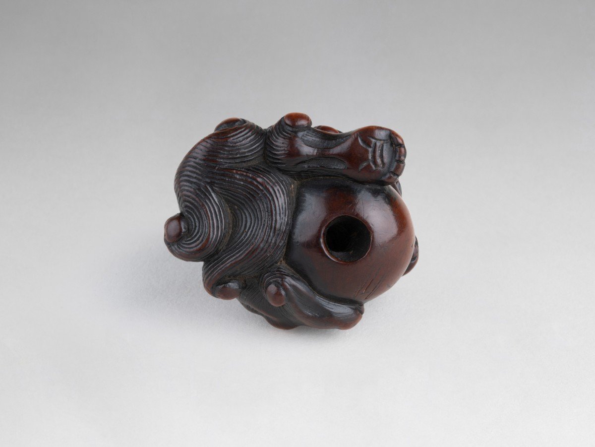 Netsuke – Important Model Of A Shishi In Carved Wood Japan Edo-photo-5