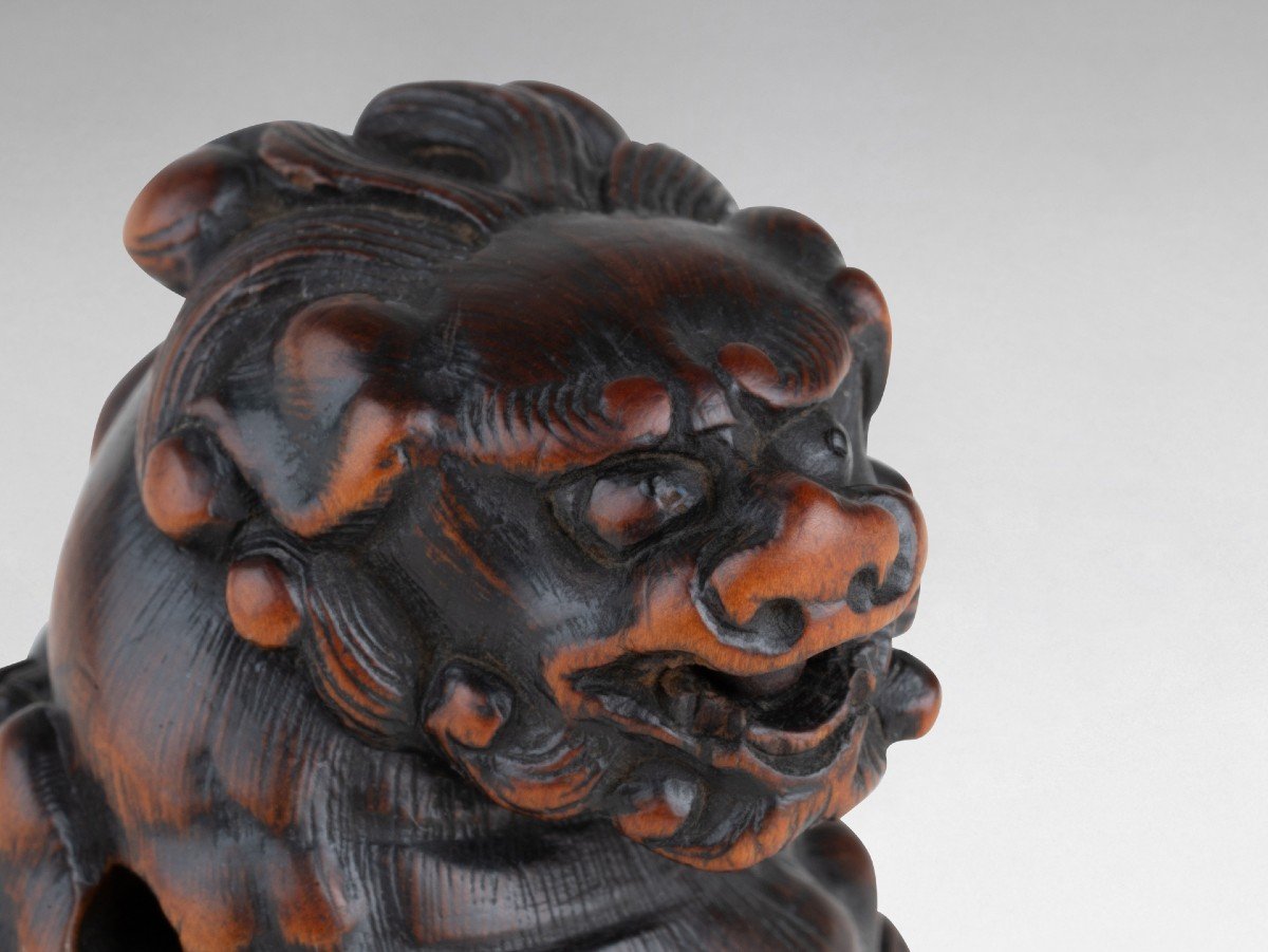 Netsuke – Important Model Of A Shishi In Carved Wood Japan Edo-photo-6