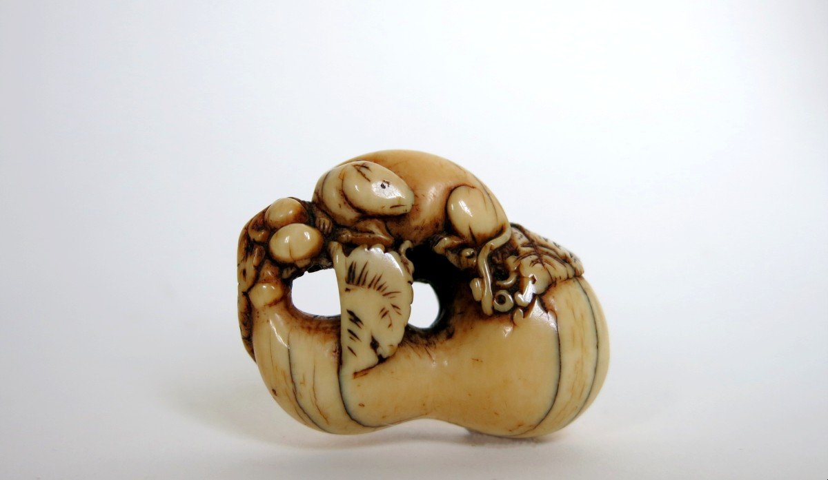 Netsuke - Rongeur Sur Une Calebasse En Ivoire. Japon Edo, 18e Siècle-photo-2