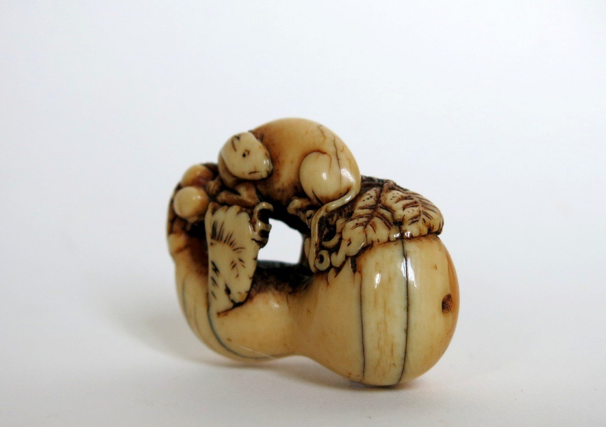 Netsuke - Rongeur Sur Une Calebasse En Ivoire. Japon Edo, 18e Siècle-photo-3