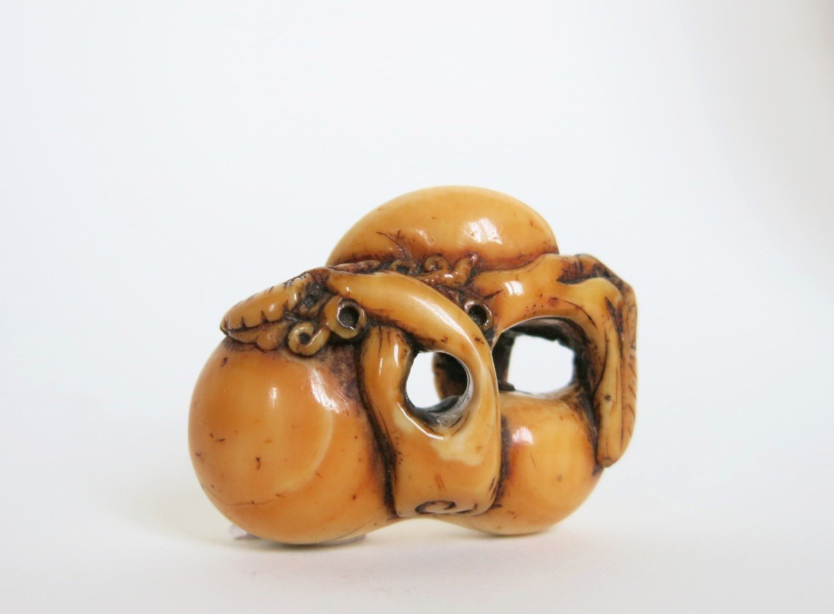 Netsuke - Rongeur Sur Une Calebasse En Ivoire. Japon Edo, 18e Siècle-photo-4