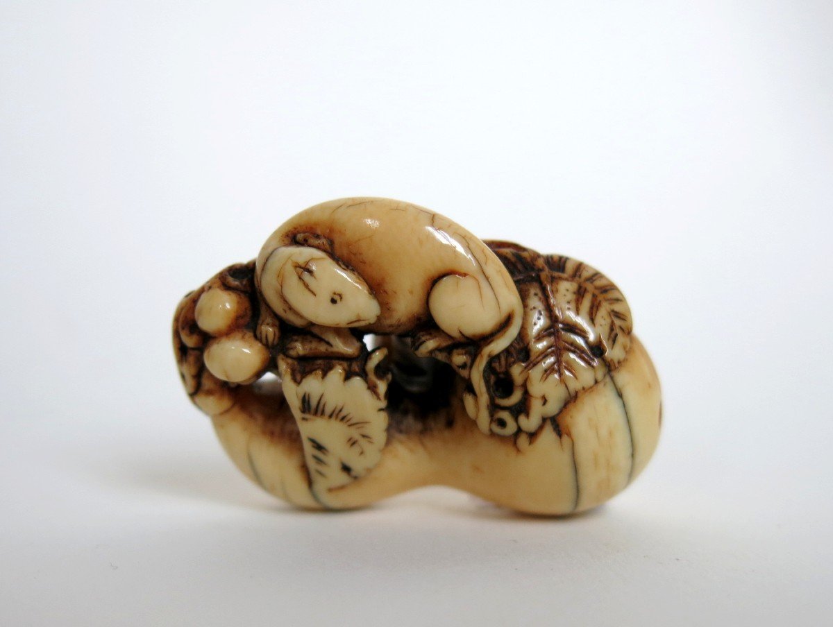 Netsuke - Rongeur Sur Une Calebasse En Ivoire. Japon Edo, 18e Siècle-photo-1