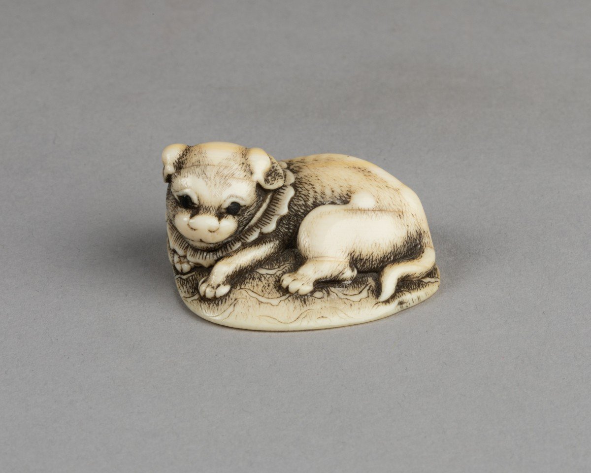 Netsuke – Chiot Couché Sur Un Tapis. Japon Edo XVIIIe Siècle