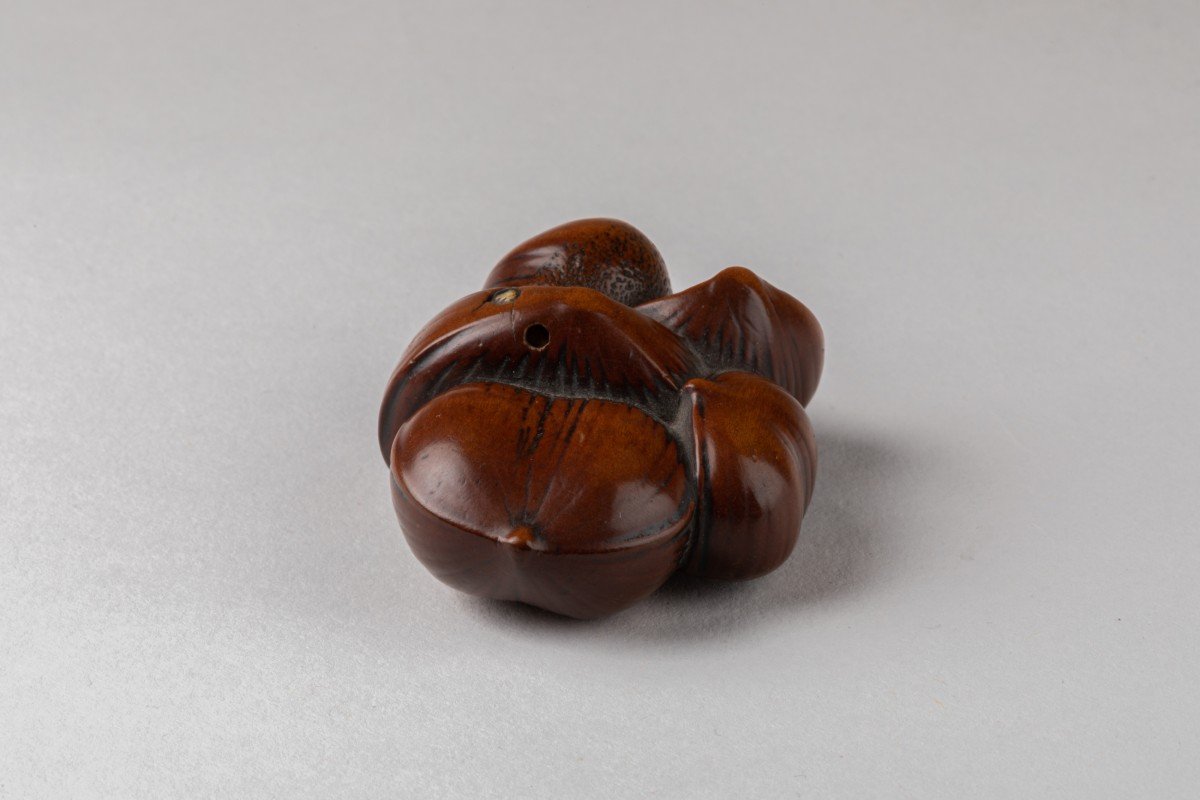 Netsuke - Group Of Contiguous Chestnuts In Carved Boxwood-photo-3