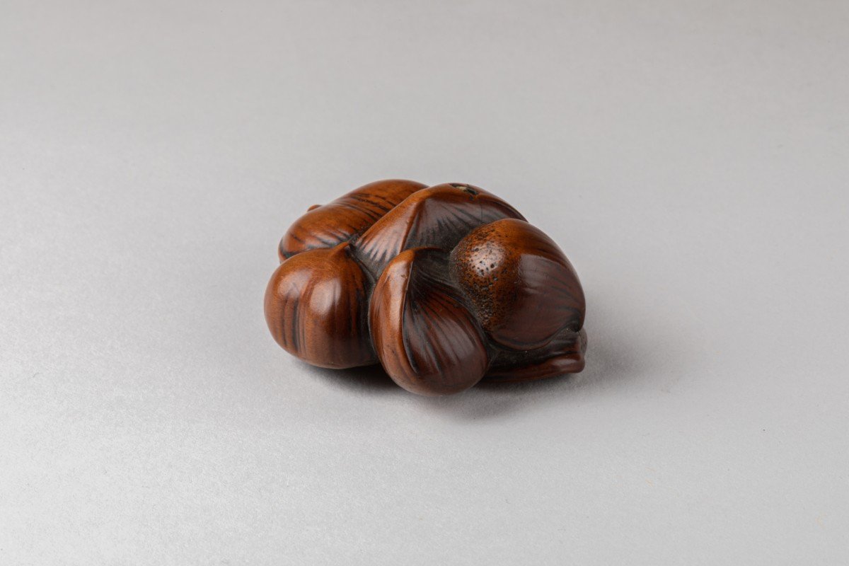 Netsuke - Group Of Contiguous Chestnuts In Carved Boxwood-photo-4