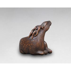 Netsuke - Rare Model Of A Lying Deer. Japan Edo 19th