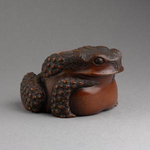 Ravissant Crapaud En Bois Sculpté - Okimono, Sculpture, Japon, Edo, 19e Siècle 