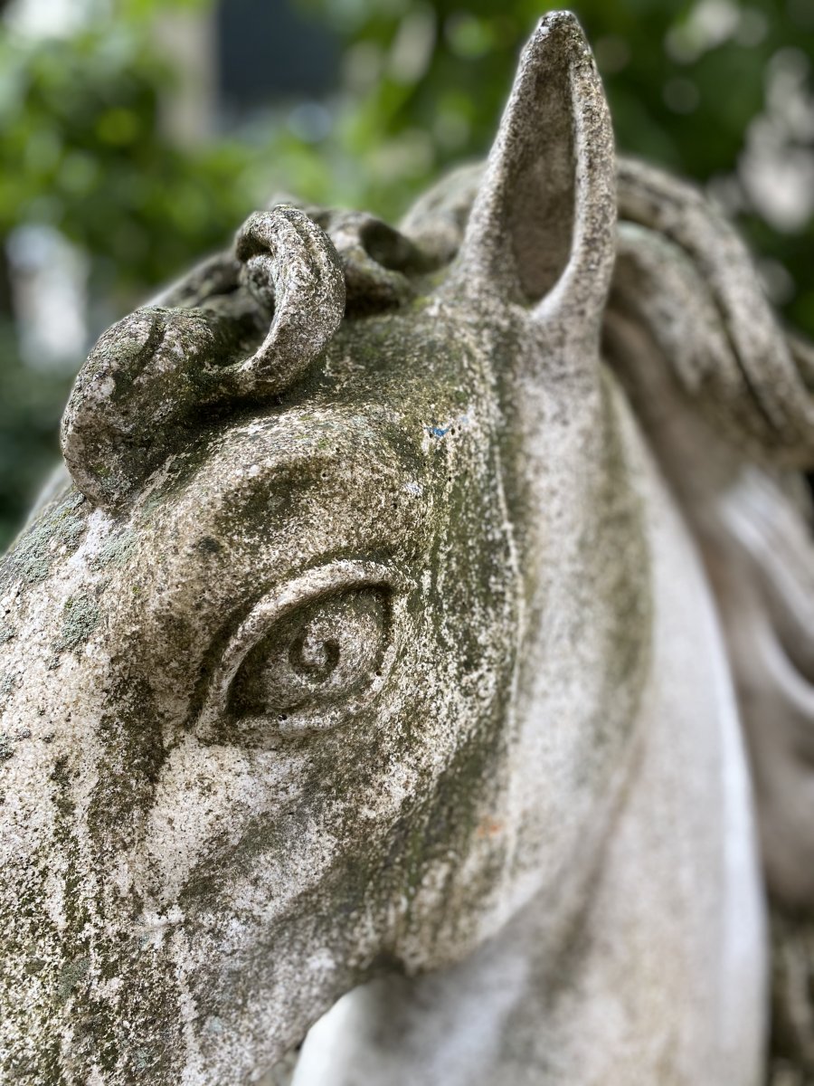 Stone Horse Head-photo-3