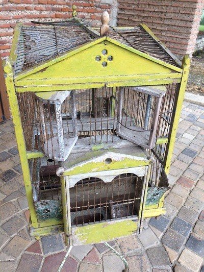 Cage d'Oiseaux-photo-2