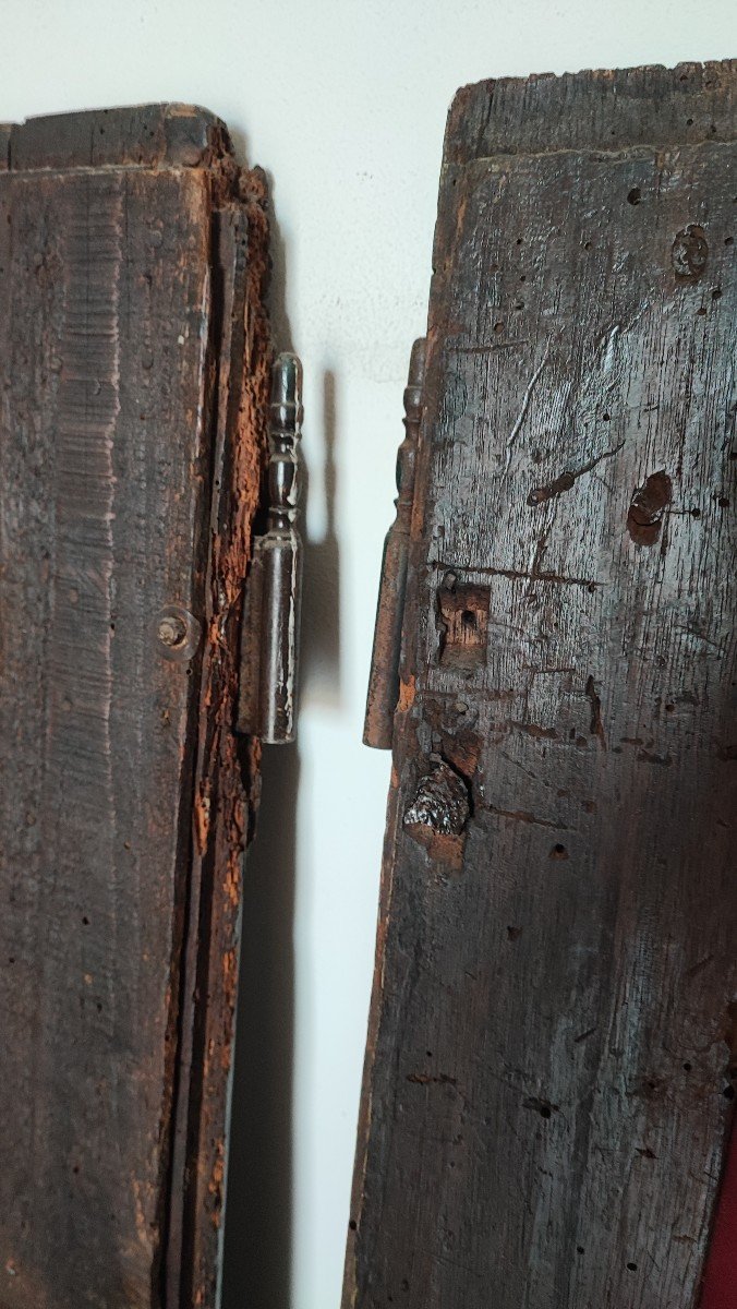 Two 18th Century Oak Cabinet Doors-photo-7